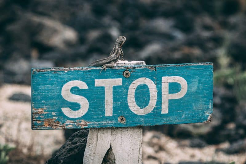 ignore the noise
distressed wooden sign painted turquoise with the word stop painted in white block letters