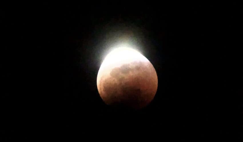 November Total Lunar Eclipse